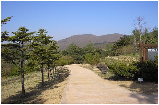경상북도 수목원 산책로